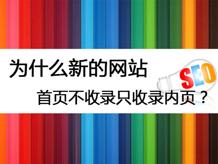 为什么新的网站首页不收录只收录内页？