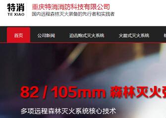 网站建设-重庆特消消防科技有限公司案例展示